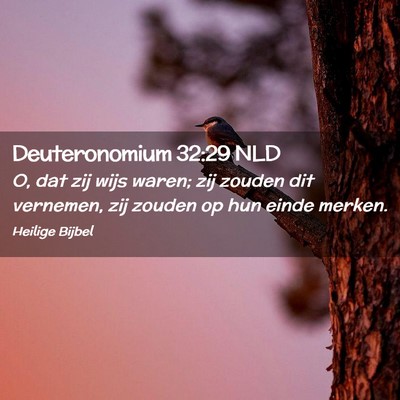Picture 02 - Deuteronomium 32:29 NLD - O, dat zij wijs waren; zij zouden dit vernemen, - Bible Verse Picture