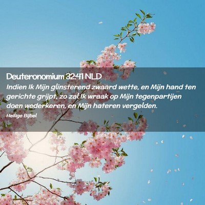 Picture 02 - Deuteronomium 32:41 NLD - Indien Ik Mijn glinsterend zwaard wette, en Mijn - Bible Verse Picture