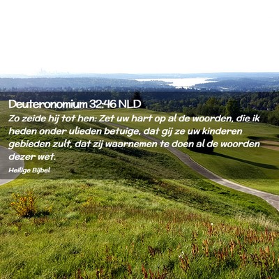 Picture 02 - Deuteronomium 32:46 NLD - Zo zeide hij tot hen: Zet uw hart op al de - Bible Verse Picture