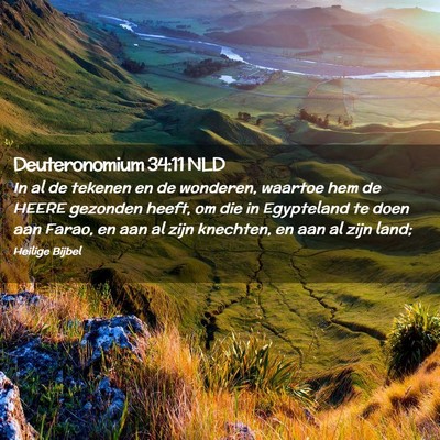 Picture 02 - Deuteronomium 34:11 NLD - In al de tekenen en de wonderen, waartoe hem de - Bible Verse Picture