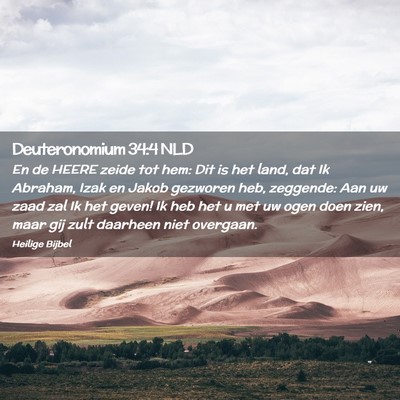 Picture 02 - Deuteronomium 34:4 NLD - En de HEERE zeide tot hem: Dit is het land, dat - Bible Verse Picture