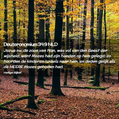 Picture 02 - Deuteronomium 34:9 NLD - Jozua nu, de zoon van Nun, was vol van den Geest - Bible Verse Picture