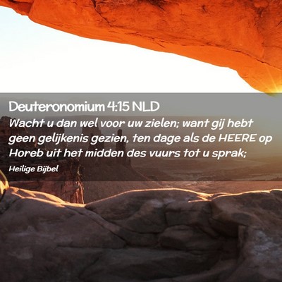 Picture 02 - Deuteronomium 4:15 NLD - Wacht u dan wel voor uw zielen; want gij hebt - Bible Verse Picture