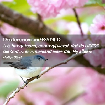 Picture 02 - Deuteronomium 4:35 NLD - U is het getoond, opdat gij wetet, dat de HEERE - Bible Verse Picture