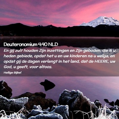 Picture 02 - Deuteronomium 4:40 NLD - En gij zult houden Zijn inzettingen en Zijn - Bible Verse Picture