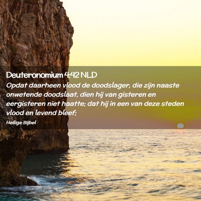 Picture 02 - Deuteronomium 4:42 NLD - Opdat daarheen vlood de doodslager, die zijn - Bible Verse Picture
