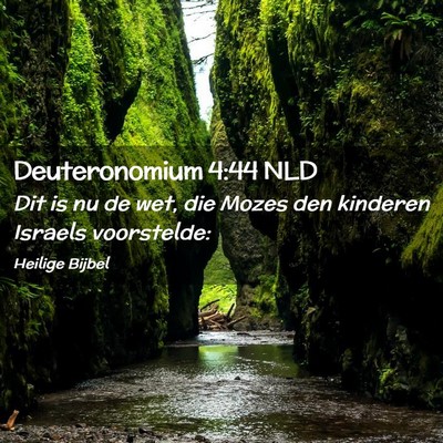 Picture 02 - Deuteronomium 4:44 NLD - Dit is nu de wet, die Mozes den kinderen Israels - Bible Verse Picture