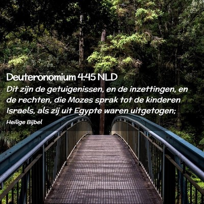 Picture 02 - Deuteronomium 4:45 NLD - Dit zijn de getuigenissen, en de inzettingen, en - Bible Verse Picture