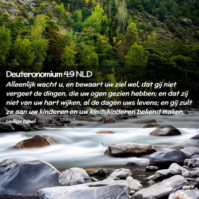 Picture 02 - Deuteronomium 4:9 NLD - Alleenlijk wacht u, en bewaart uw ziel wel, dat - Bible Verse Picture