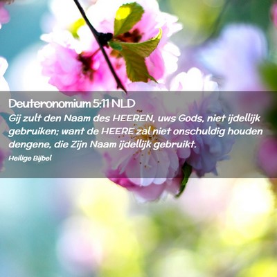 Picture 02 - Deuteronomium 5:11 NLD - Gij zult den Naam des HEEREN, uws Gods, niet - Bible Verse Picture