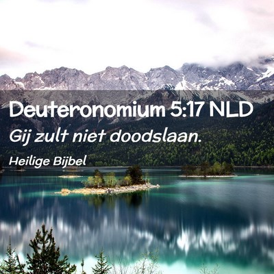 Picture 02 - Deuteronomium 5:17 NLD - Gij zult niet - Bible Verse Picture