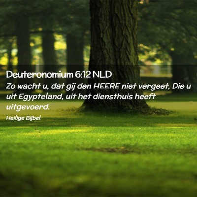 Picture 02 - Deuteronomium 6:12 NLD - Zo wacht u, dat gij den HEERE niet vergeet, Die u - Bible Verse Picture