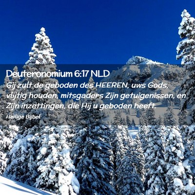 Picture 02 - Deuteronomium 6:17 NLD - Gij zult de geboden des HEEREN, uws Gods, vlijtig - Bible Verse Picture