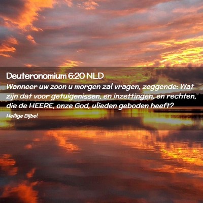 Picture 02 - Deuteronomium 6:20 NLD - Wanneer uw zoon u morgen zal vragen, zeggende: - Bible Verse Picture