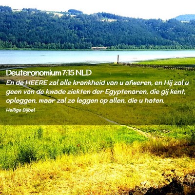 Picture 02 - Deuteronomium 7:15 NLD - En de HEERE zal alle krankheid van u afweren, en - Bible Verse Picture