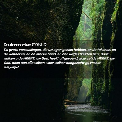 Picture 02 - Deuteronomium 7:19 NLD - De grote verzoekingen, die uw ogen gezien hebben, - Bible Verse Picture