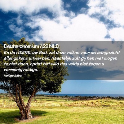 Picture 02 - Deuteronomium 7:22 NLD - En de HEERE, uw God, zal deze volken voor uw - Bible Verse Picture
