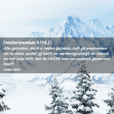 Picture 02 - Deuteronomium 8:1 NLD - Alle geboden, die ik u heden gebiede, zult gij - Bible Verse Picture