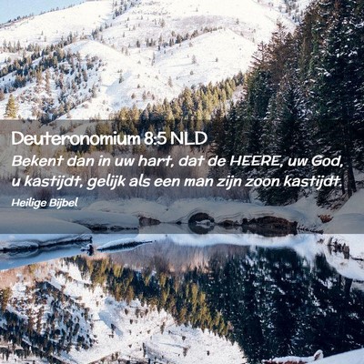 Picture 02 - Deuteronomium 8:5 NLD - Bekent dan in uw hart, dat de HEERE, uw God, u - Bible Verse Picture
