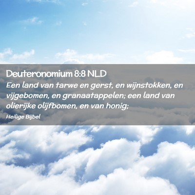 Picture 02 - Deuteronomium 8:8 NLD - Een land van tarwe en gerst, en wijnstokken, en - Bible Verse Picture