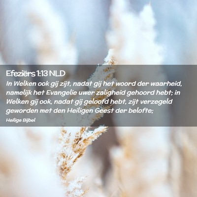 Picture 02 - Efeziërs 1:13 NLD - In Welken ook gij zijt, nadat gij het woord der - Bible Verse Picture