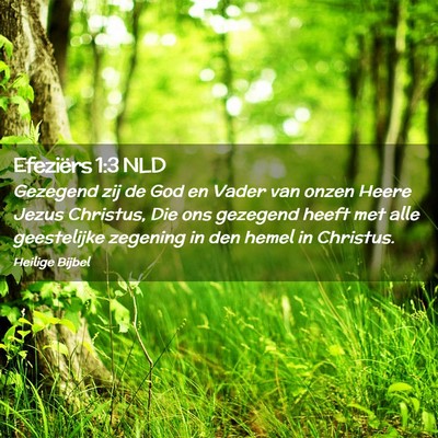 Picture 02 - Efeziërs 1:3 NLD - Gezegend zij de God en Vader van onzen Heere - Bible Verse Picture