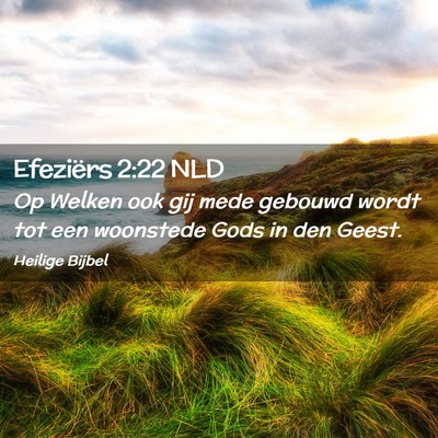 Picture 02 - Efeziërs 2:22 NLD - Op Welken ook gij mede gebouwd wordt tot een - Bible Verse Picture