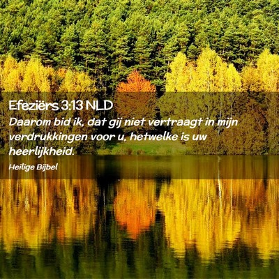 Picture 02 - Efeziërs 3:13 NLD - Daarom bid ik, dat gij niet vertraagt in mijn - Bible Verse Picture