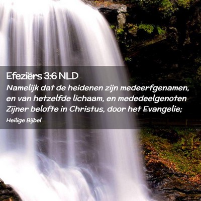 Picture 02 - Efeziërs 3:6 NLD - Namelijk dat de heidenen zijn medeerfgenamen, en - Bible Verse Picture