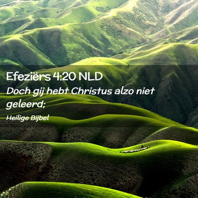 Picture 02 - Efeziërs 4:20 NLD - Doch gij hebt Christus alzo niet - Bible Verse Picture