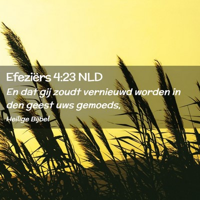 Picture 02 - Efeziërs 4:23 NLD - En dat gij zoudt vernieuwd worden in den geest - Bible Verse Picture