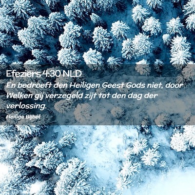 Picture 02 - Efeziërs 4:30 NLD - En bedroeft den Heiligen Geest Gods niet, door - Bible Verse Picture