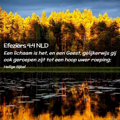 Picture 02 - Efeziërs 4:4 NLD - Een lichaam is het, en een Geest, gelijkerwijs - Bible Verse Picture
