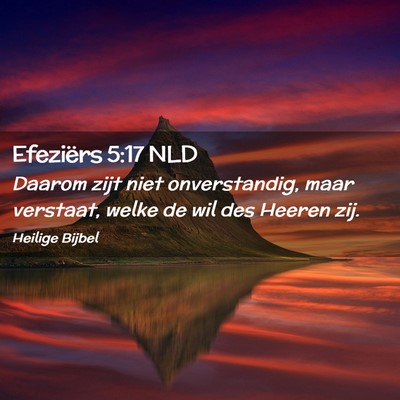 Picture 02 - Efeziërs 5:17 NLD - Daarom zijt niet onverstandig, maar verstaat, - Bible Verse Picture