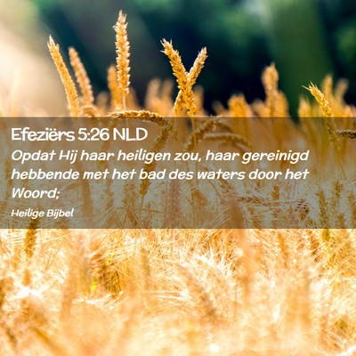 Picture 02 - Efeziërs 5:26 NLD - Opdat Hij haar heiligen zou, haar gereinigd - Bible Verse Picture