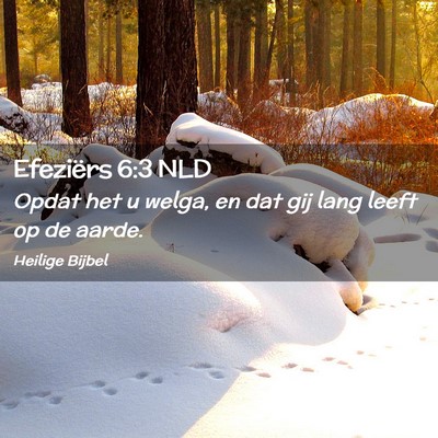 Picture 02 - Efeziërs 6:3 NLD - Opdat het u welga, en dat gij lang leeft op de - Bible Verse Picture