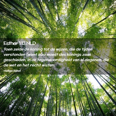 Picture 02 - Esther 1:13 NLD - Toen zeide de koning tot de wijzen, die de tijden - Bible Verse Picture