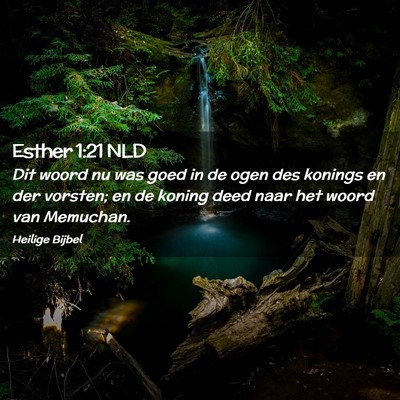Picture 02 - Esther 1:21 NLD - Dit woord nu was goed in de ogen des konings en - Bible Verse Picture