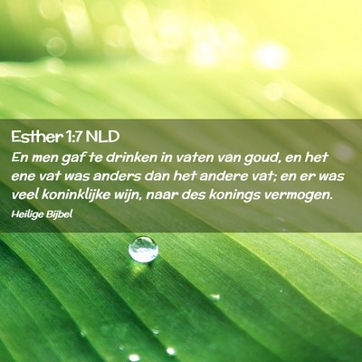 Picture 02 - Esther 1:7 NLD - En men gaf te drinken in vaten van goud, en het - Bible Verse Picture