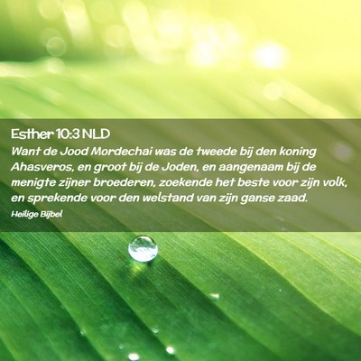 Picture 02 - Esther 10:3 NLD - Want de Jood Mordechai was de tweede bij den - Bible Verse Picture