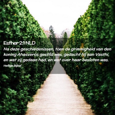 Picture 02 - Esther 2:1 NLD - Na deze geschiedenissen, toen de grimmigheid van - Bible Verse Picture