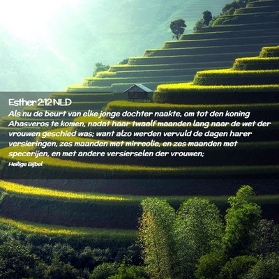 Picture 02 - Esther 2:12 NLD - Als nu de beurt van elke jonge dochter naakte, om - Bible Verse Picture