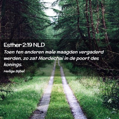 Picture 02 - Esther 2:19 NLD - Toen ten anderen male maagden vergaderd werden, - Bible Verse Picture
