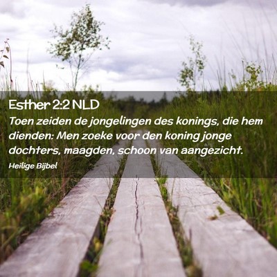 Picture 02 - Esther 2:2 NLD - Toen zeiden de jongelingen des konings, die hem - Bible Verse Picture