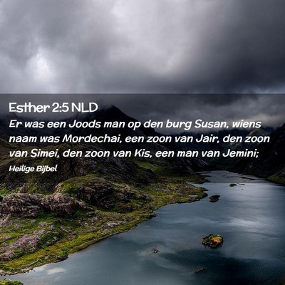 Picture 02 - Esther 2:5 NLD - Er was een Joods man op den burg Susan, wiens - Bible Verse Picture