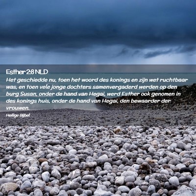 Picture 02 - Esther 2:8 NLD - Het geschiedde nu, toen het woord des konings en - Bible Verse Picture