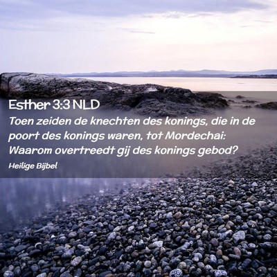 Picture 02 - Esther 3:3 NLD - Toen zeiden de knechten des konings, die in de - Bible Verse Picture