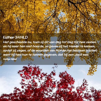 Picture 02 - Esther 3:4 NLD - Het geschiedde nu, toen zij dit van dag tot dag - Bible Verse Picture