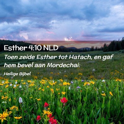 Picture 02 - Esther 4:10 NLD - Toen zeide Esther tot Hatach, en gaf hem bevel - Bible Verse Picture