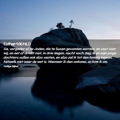 Picture 02 - Esther 4:16 NLD - Ga, vergader al de Joden, die te Susan gevonden - Bible Verse Picture